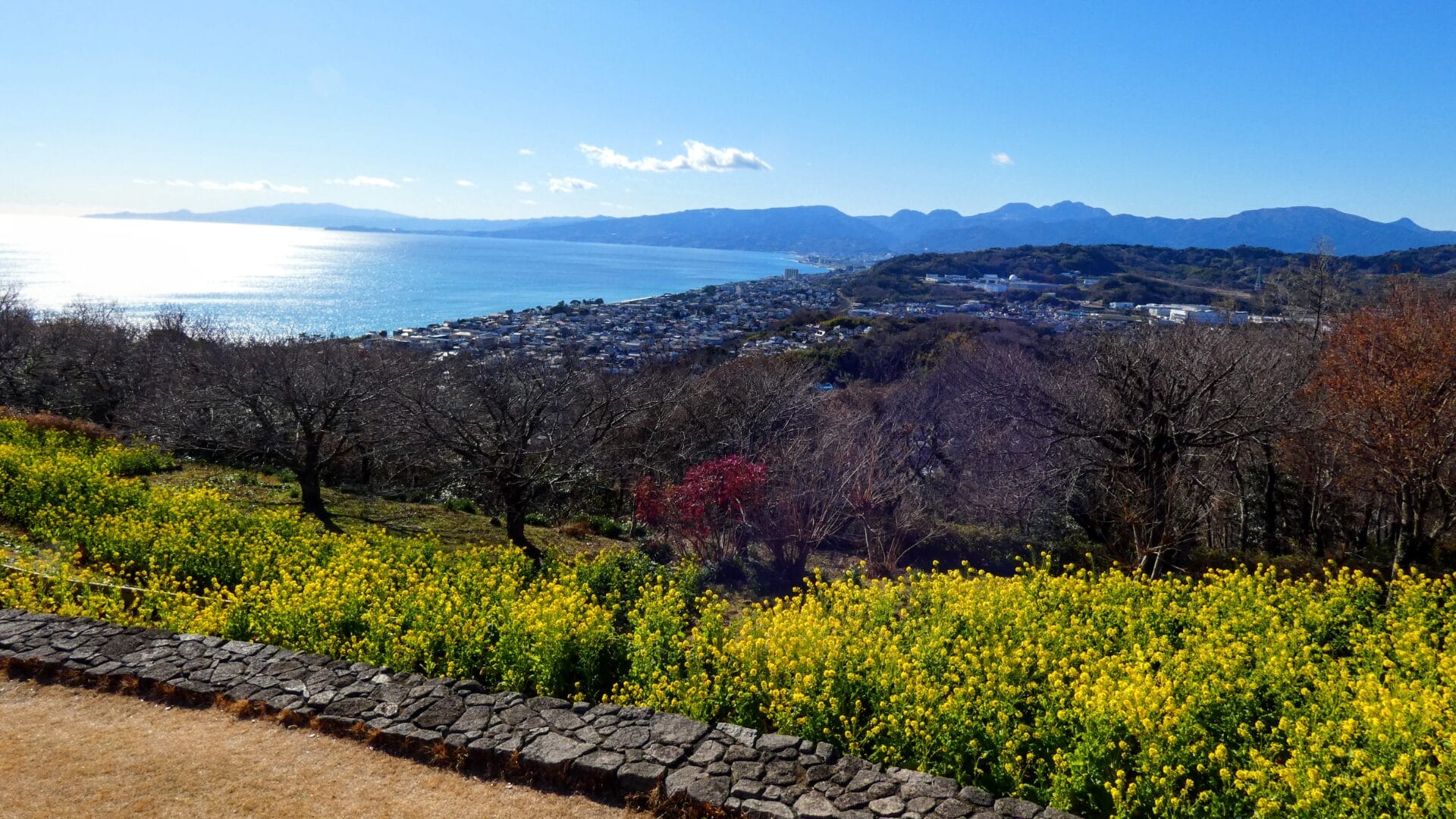 吾妻山公園から真鶴半島の風景