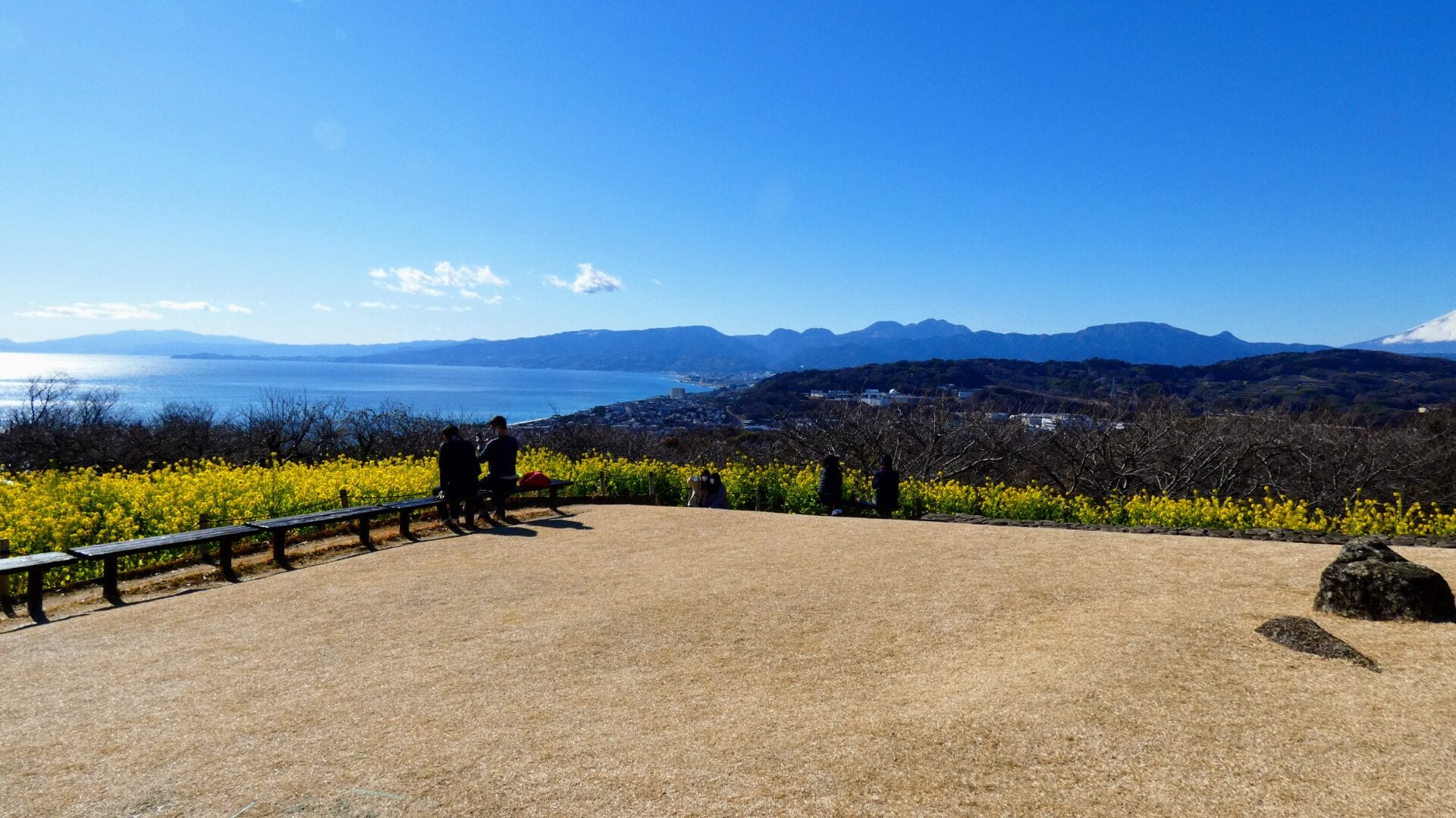 箱根山 吾妻山公園から箱根山の風景