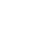 Fluke logotipo