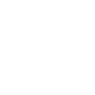 Torvisco Group