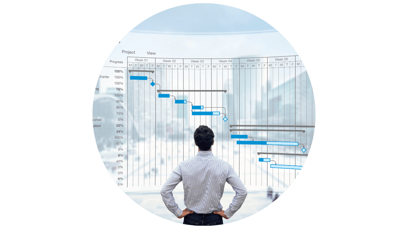 Person analyzing project progress on a screen.