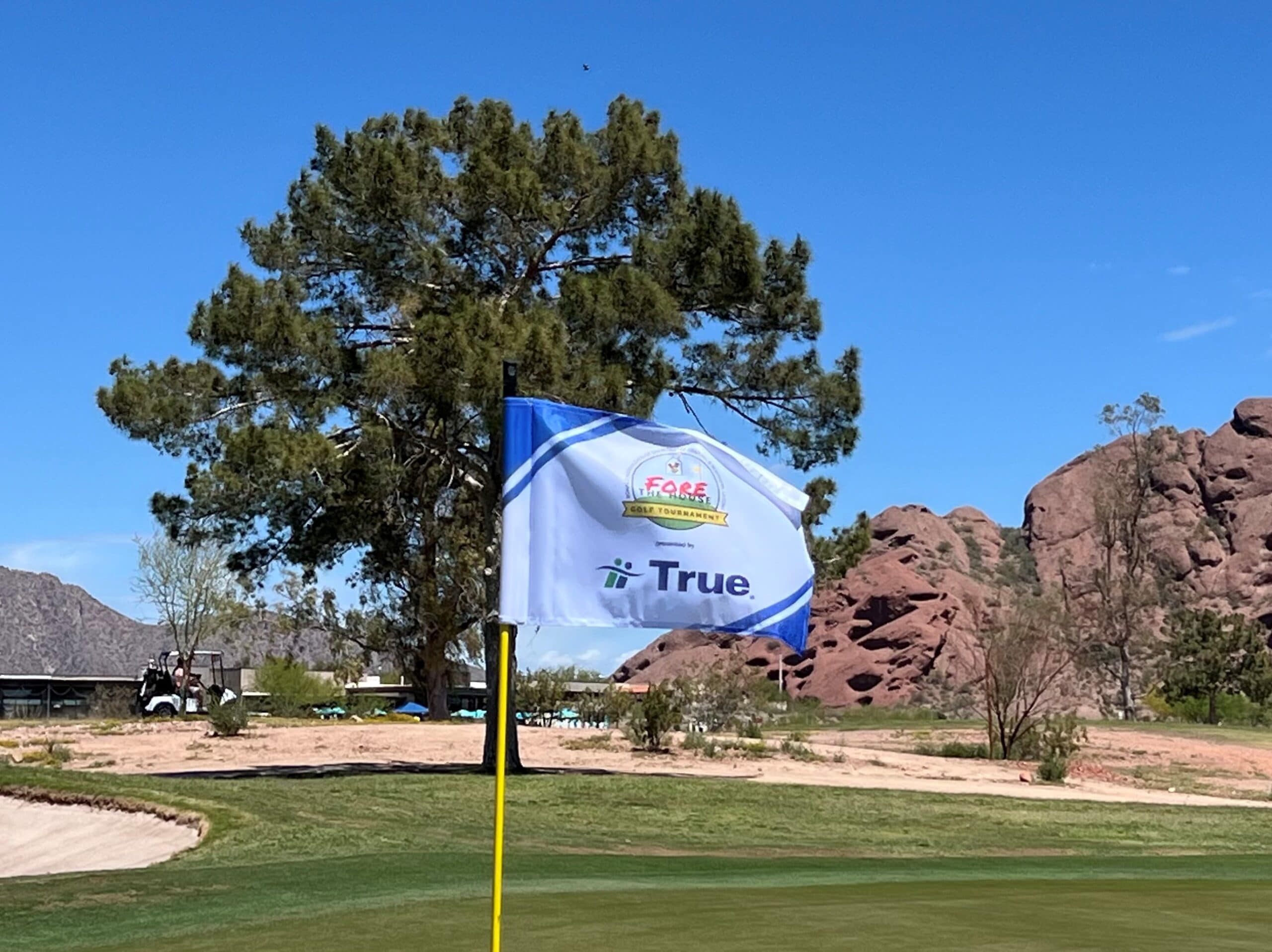 Golf tournament flag with True branding.