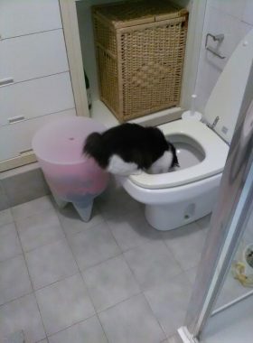 07.jpg