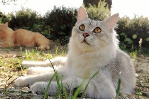 Angela 02