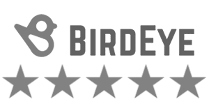 5 Stars on Birdeye