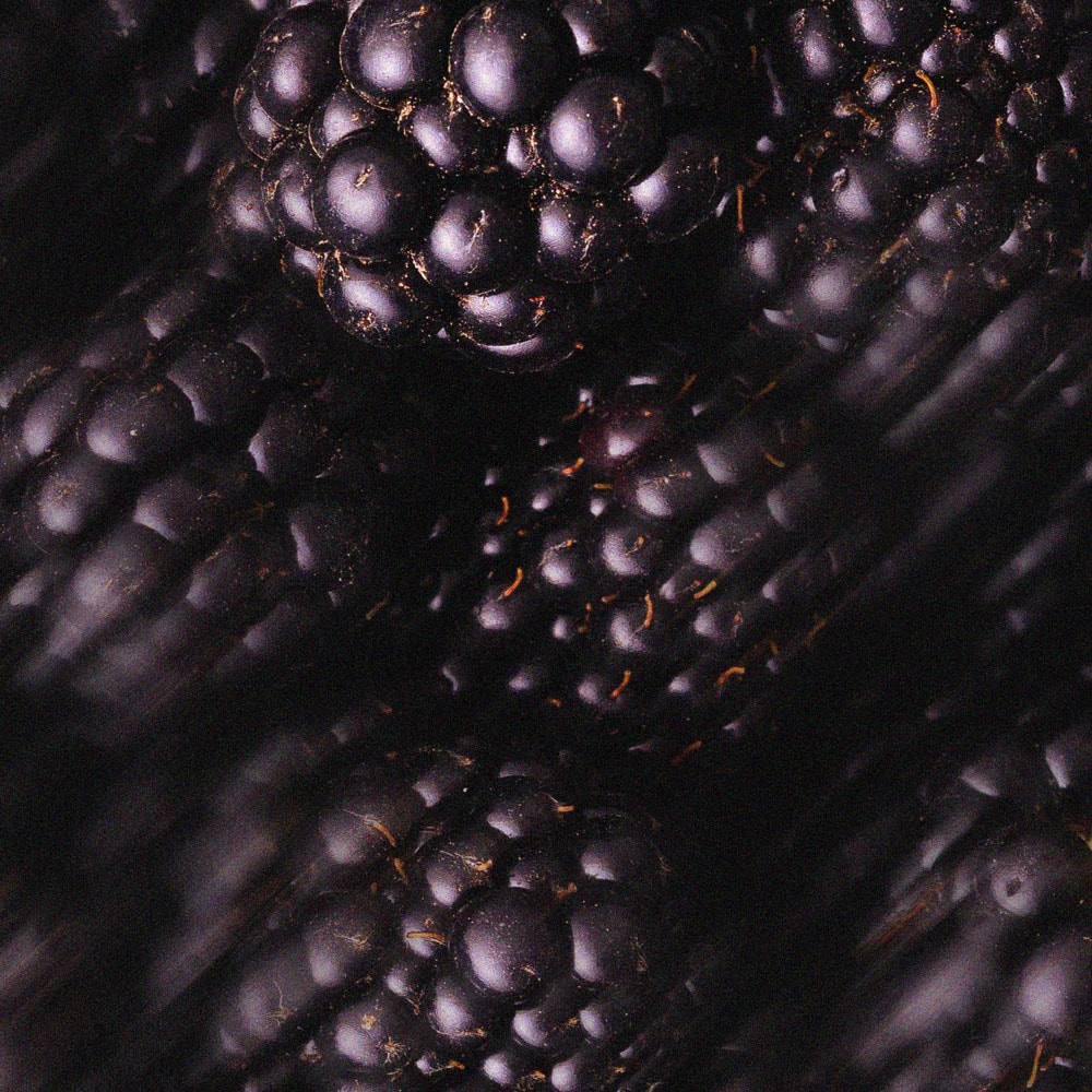 Brombeere