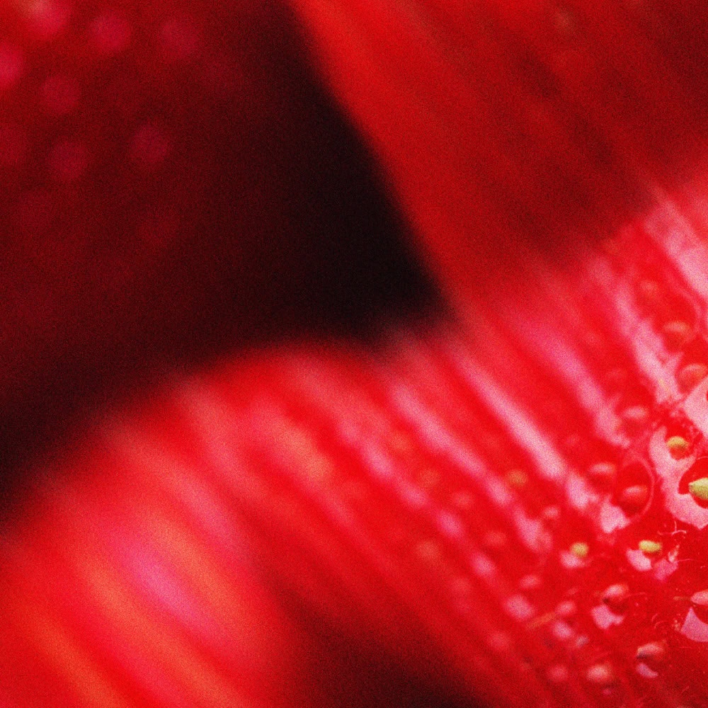 Erbeeren2