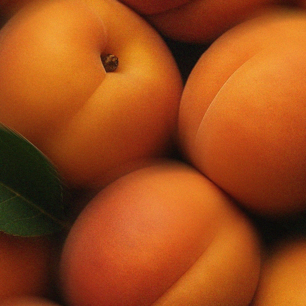 Apricot