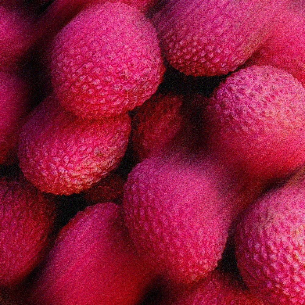 Lychee