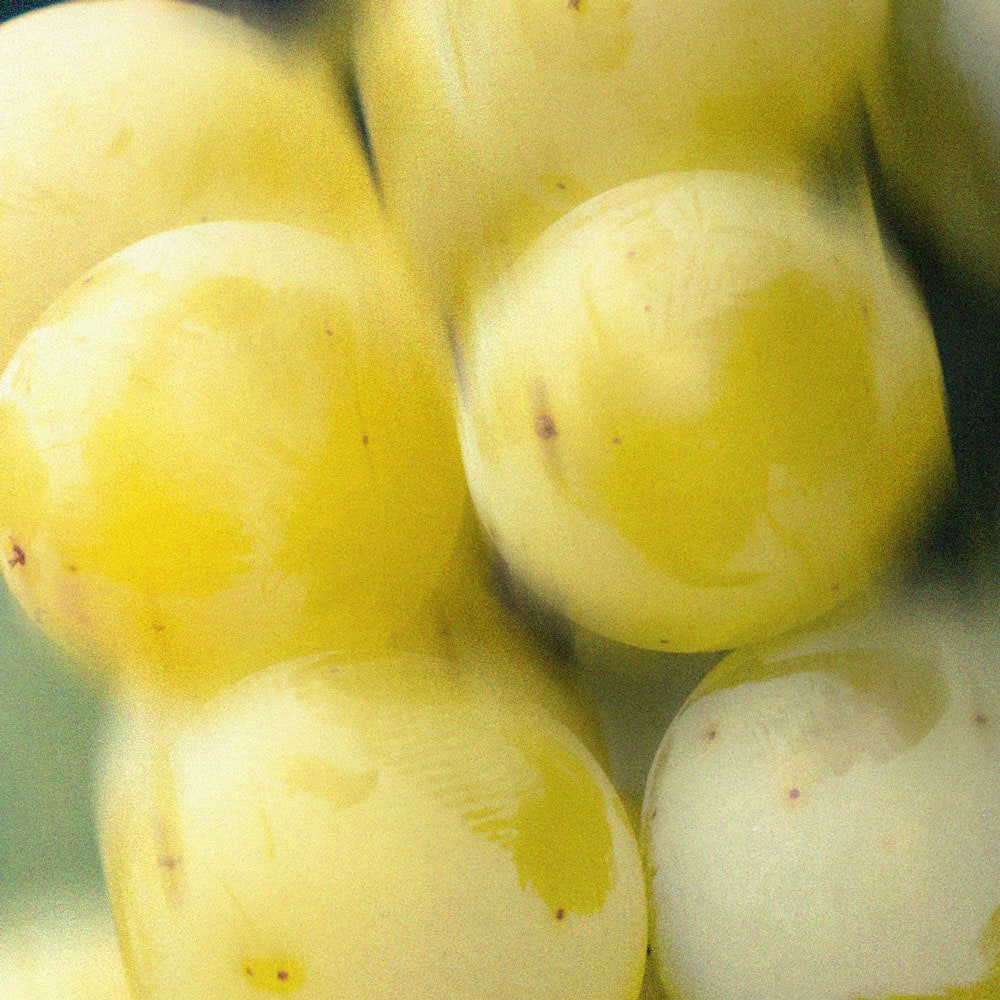 White-Grape