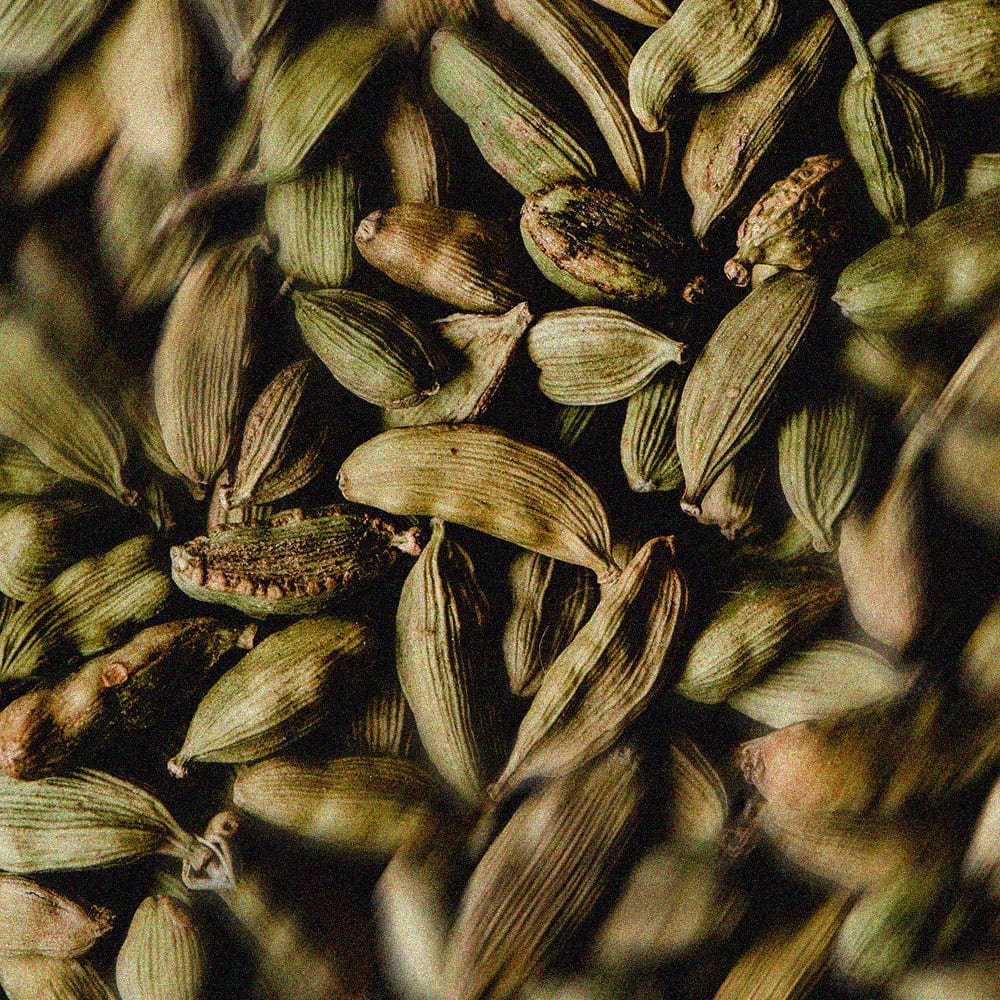 Cardamom