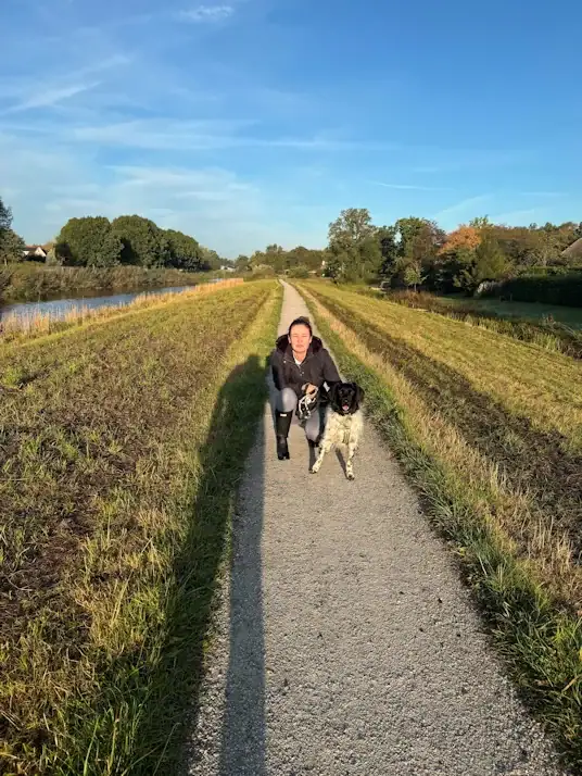 Hondenuitlaatservice in Drachten