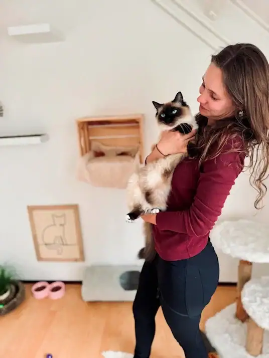 Kattenopvang