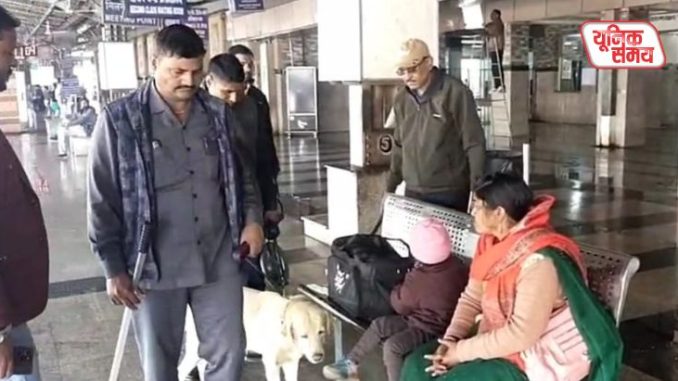Dog squad searched every nook from the junction to the bus stand