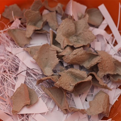 bits paper