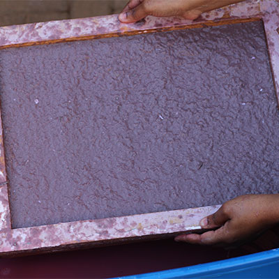 deckle covered pulp