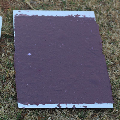 pulp drying