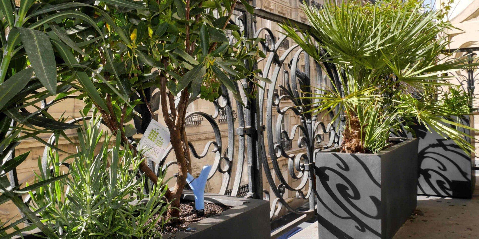 Paysagiste Paris | Paysagiste Paris 8 - Paysagiste Paris 16 - Paysagiste Paris 7