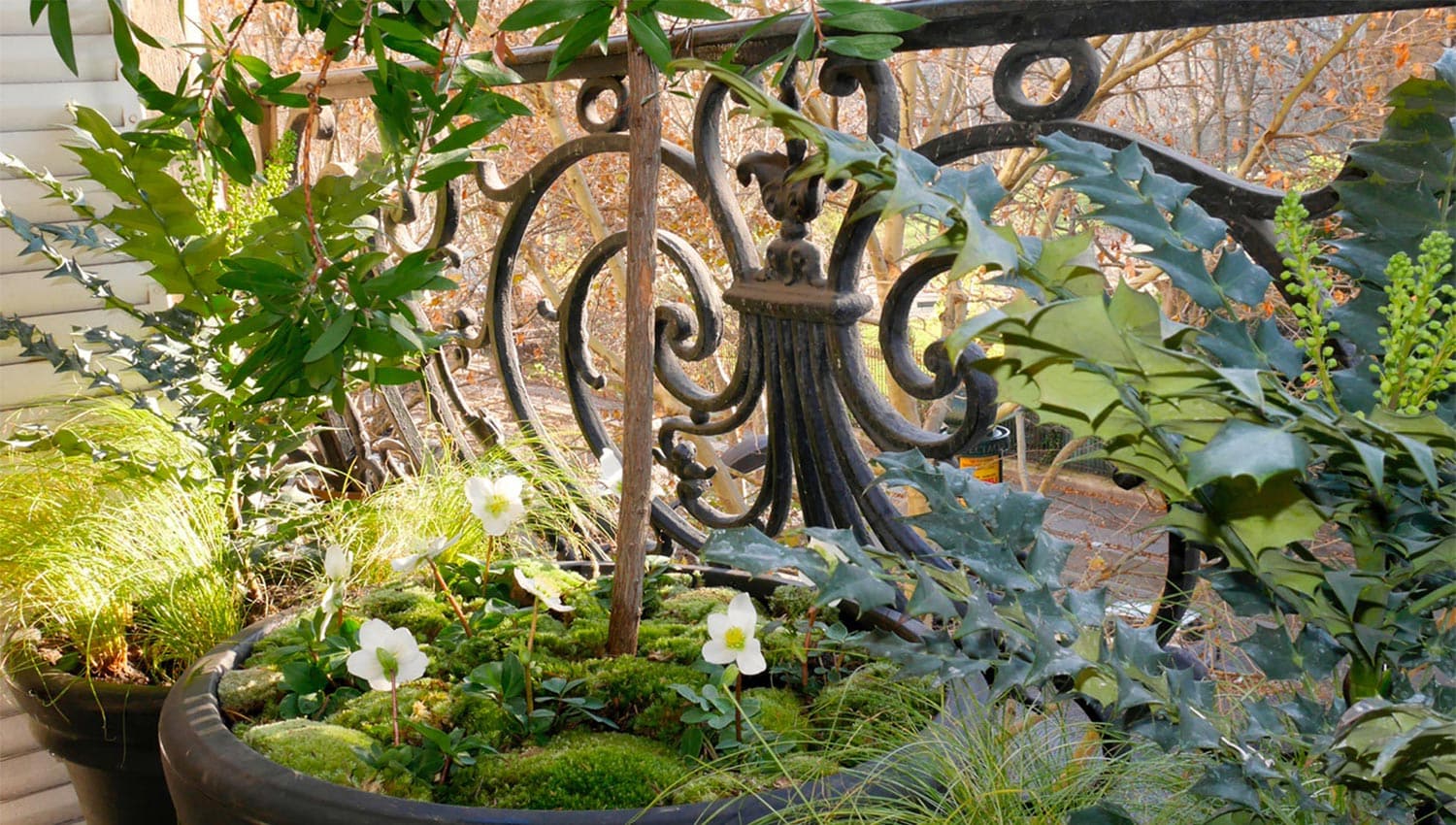 Paysagiste Paris | Paysagiste Paris 8 - Paysagiste Paris 16 - Paysagiste Paris 7