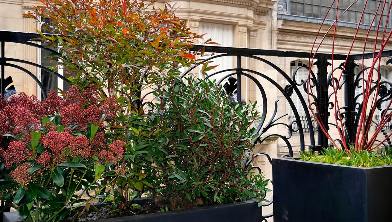 Paysagiste Paris | Paysagiste Paris 8 - Paysagiste Paris 16 - Paysagiste Paris 7