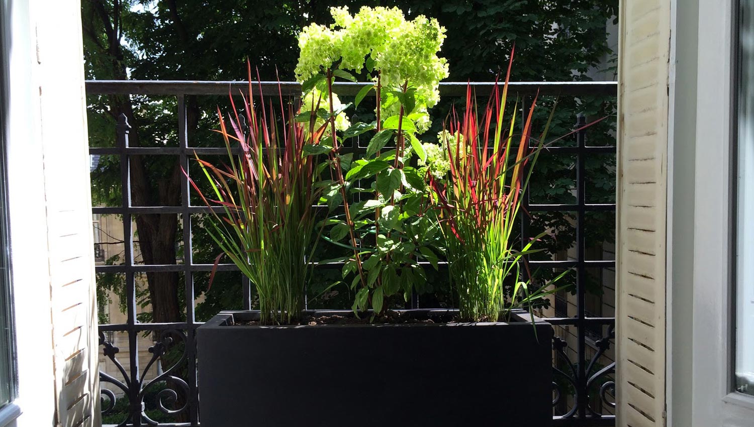 Paysagiste Paris | Paysagiste Paris 8 - Paysagiste Paris 16 - Paysagiste Paris 7