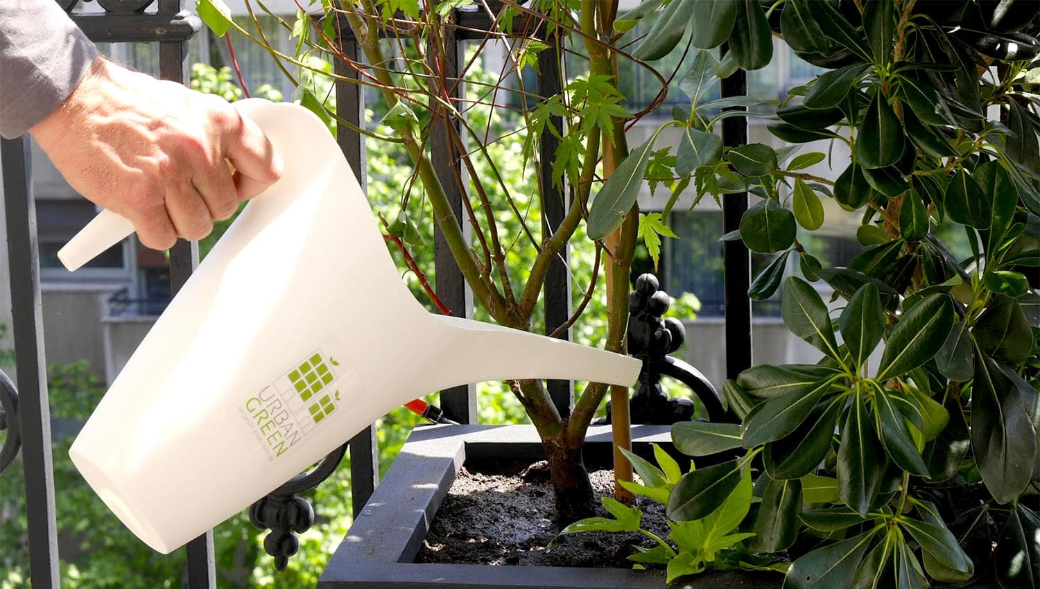 Paysagiste Paris | Paysagiste Paris 8 - Paysagiste Paris 16 - Paysagiste Paris 7