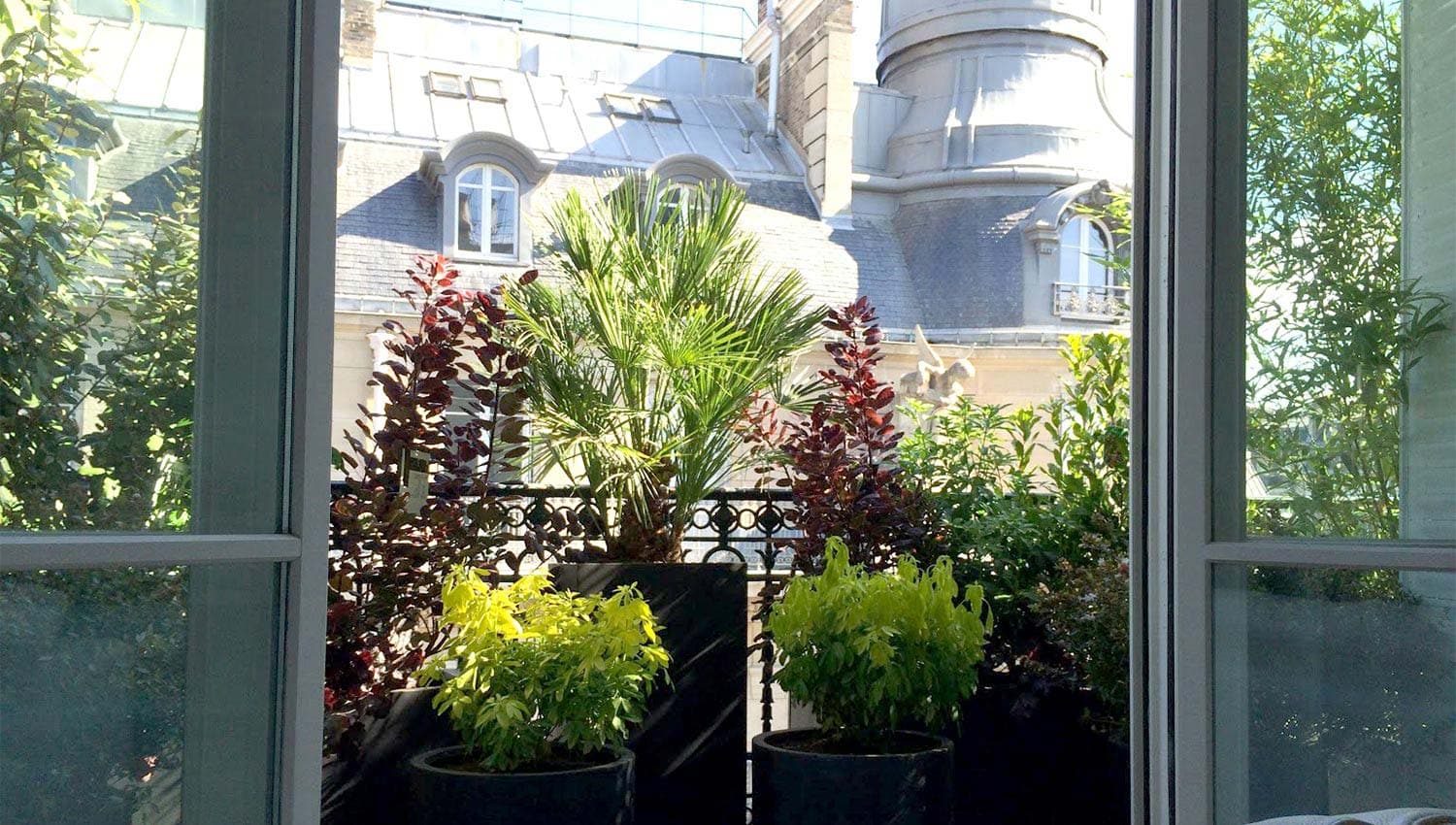 Paysagiste Paris | Paysagiste Paris 8 - Paysagiste Paris 16 - Paysagiste Paris 7