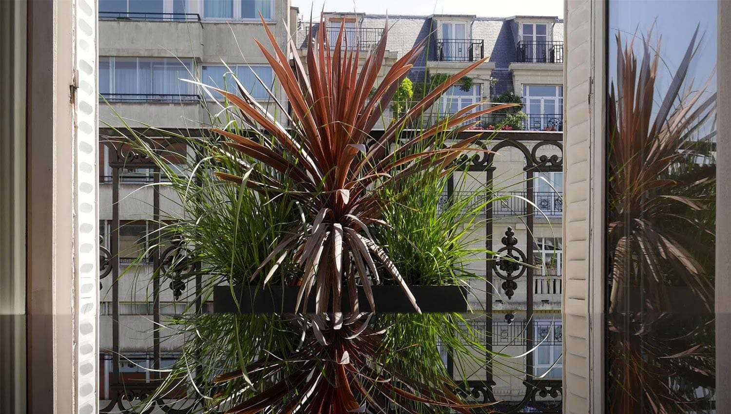 Paysagiste Paris | Paysagiste Paris 8 - Paysagiste Paris 16 - Paysagiste Paris 7