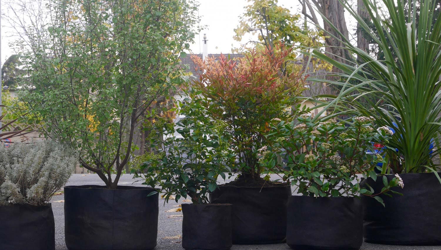 Paysagiste Paris | Paysagiste Paris 8 - Paysagiste Paris 16 - Paysagiste Paris 7