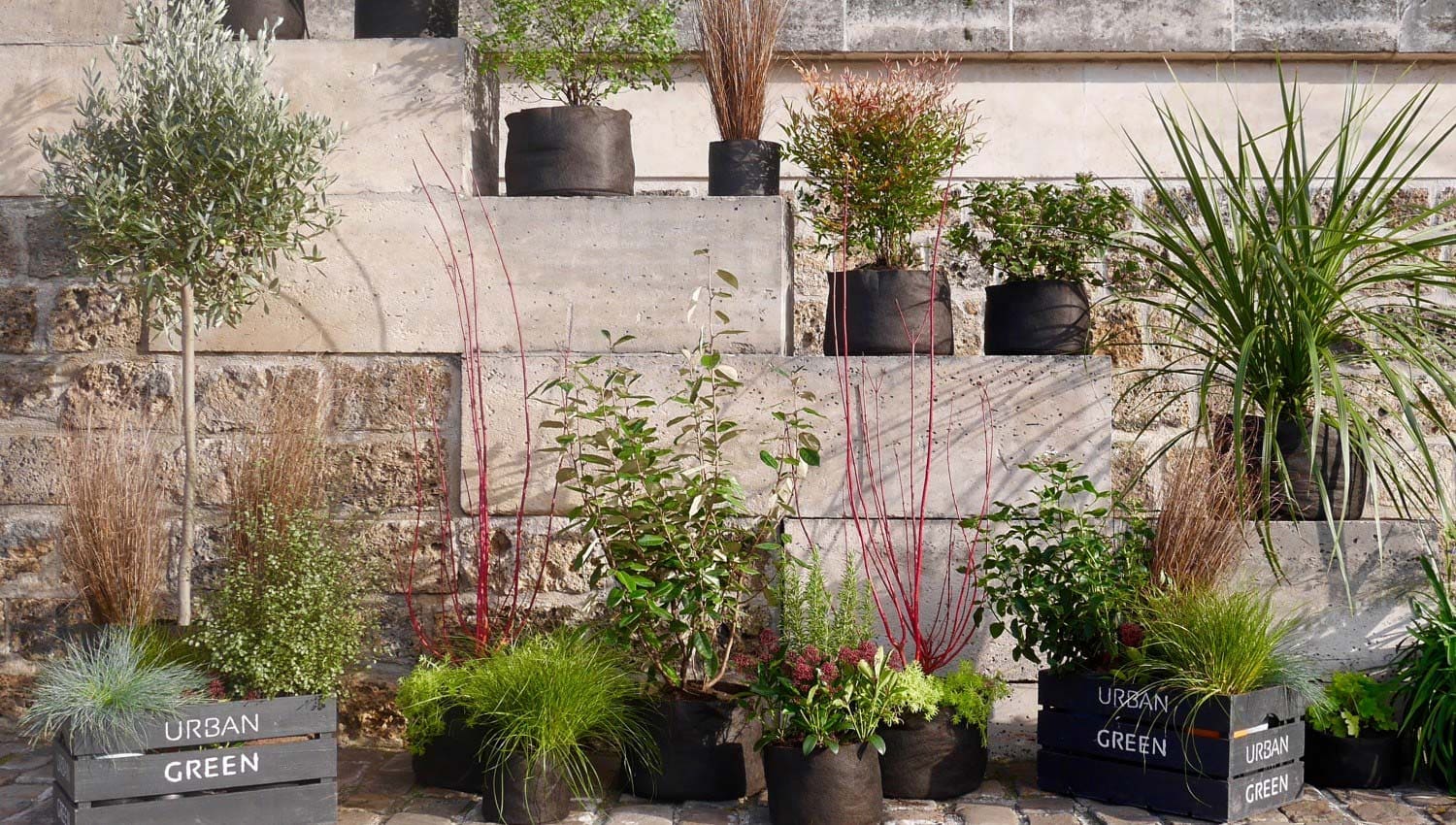 Paysagiste Paris | Paysagiste Paris 8 - Paysagiste Paris 16 - Paysagiste Paris 7