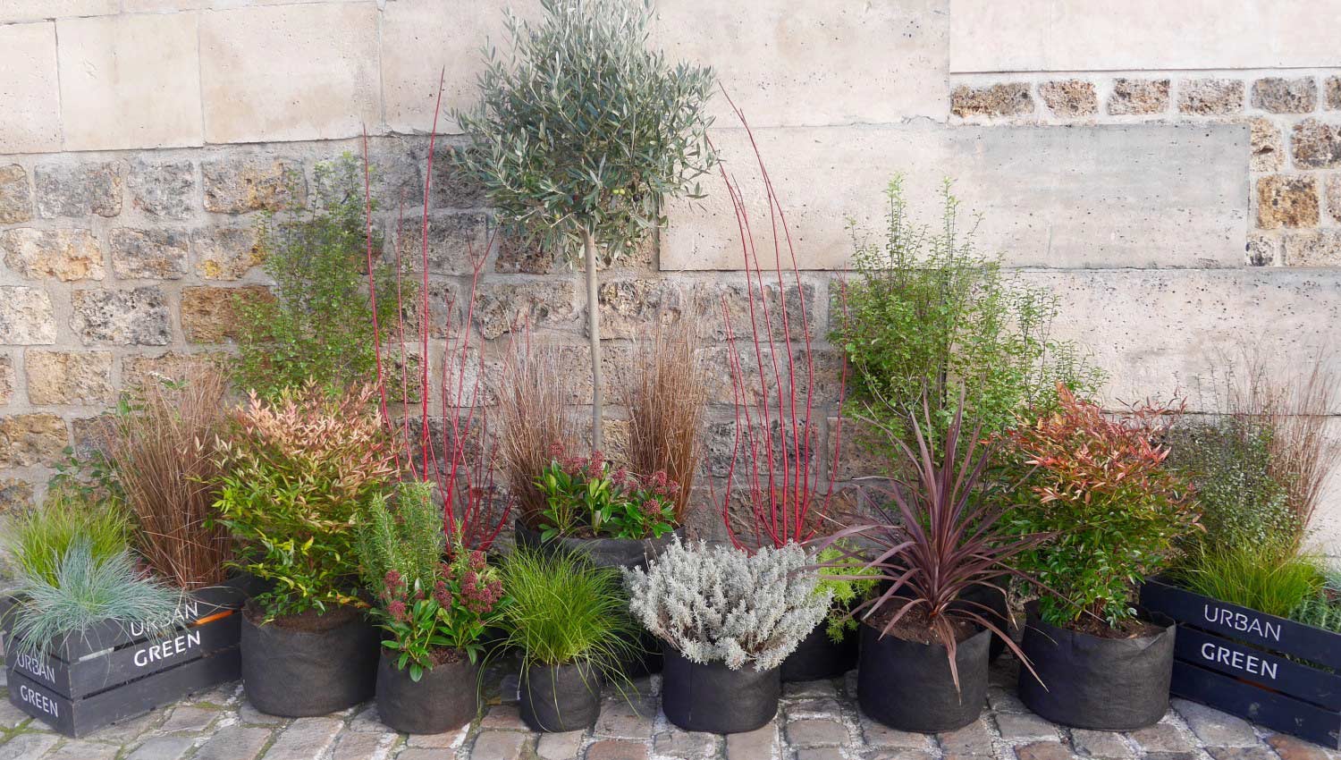 Paysagiste Paris | Paysagiste Paris 8 - Paysagiste Paris 16 - Paysagiste Paris 7