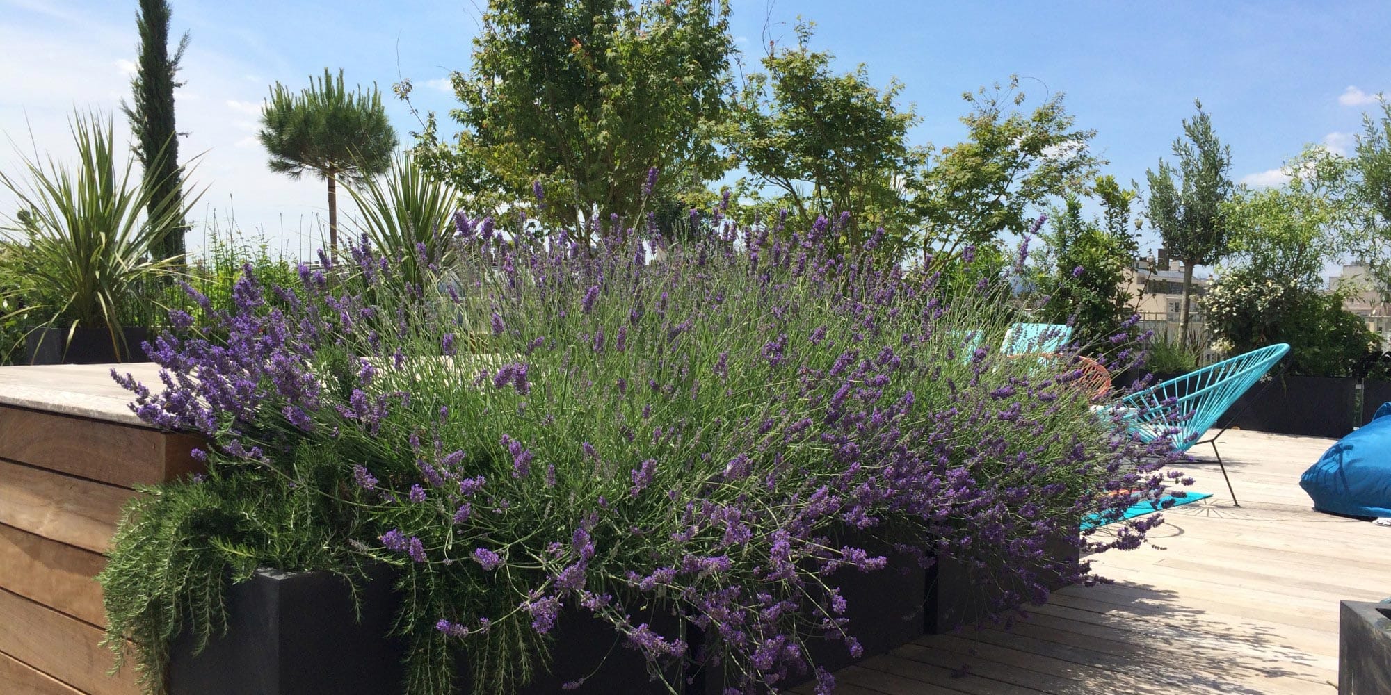 Paysagiste Paris | Paysagiste Paris 8 - Paysagiste Paris 16 - Paysagiste Paris 7