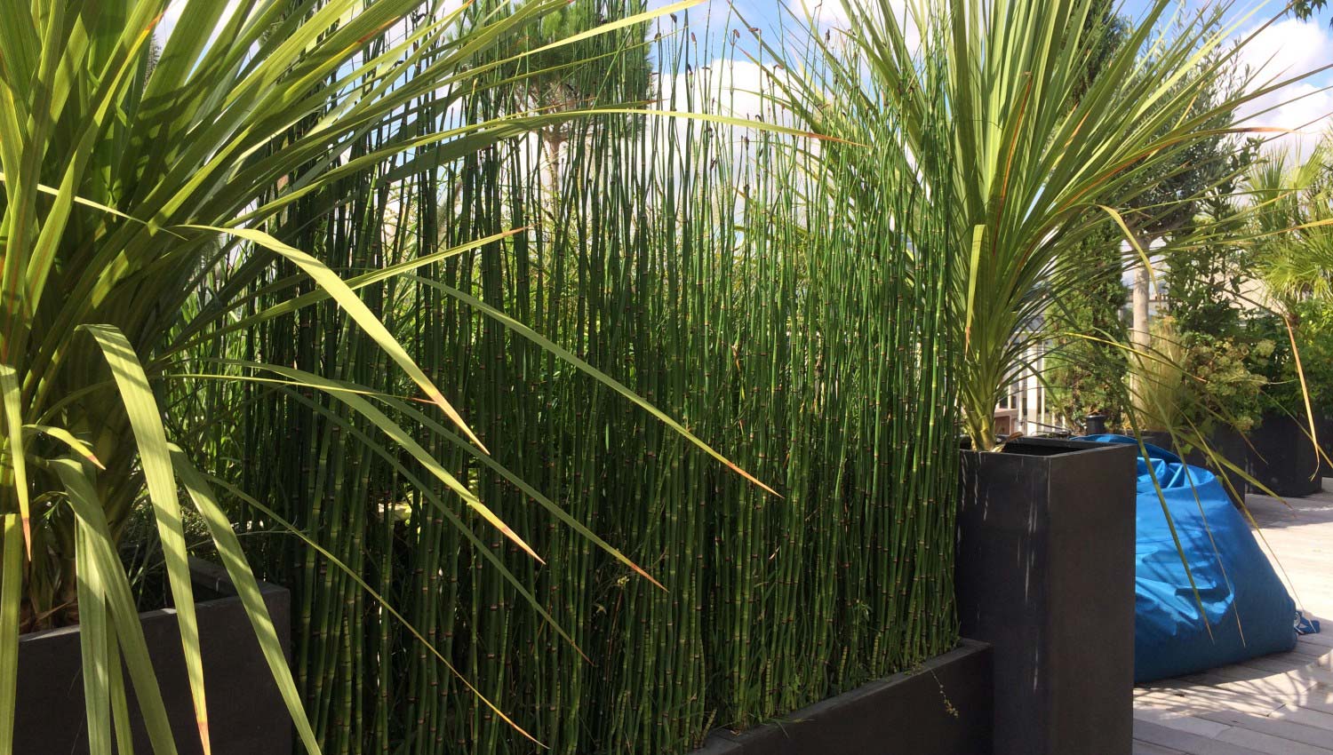 Paysagiste Paris | Paysagiste Paris 8 - Paysagiste Paris 16 - Paysagiste Paris 7