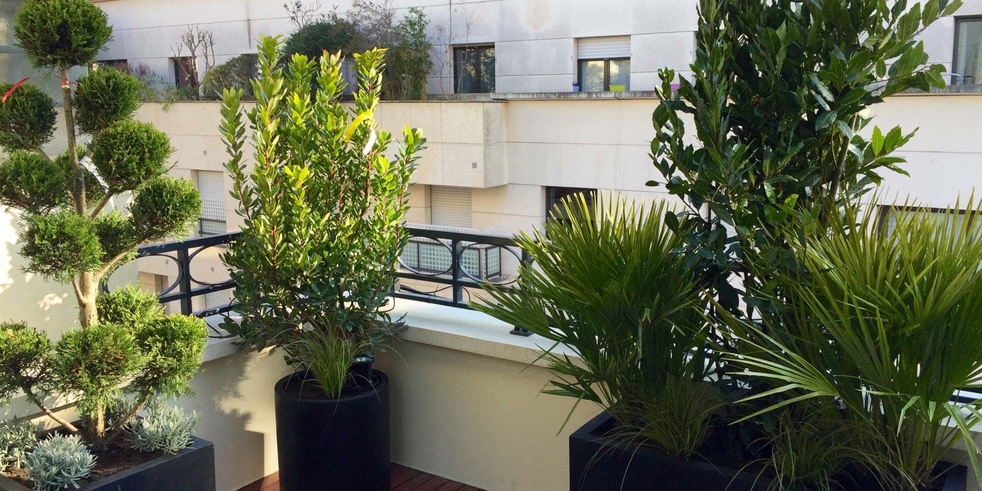 Paysagiste Paris | Paysagiste Paris 8 - Paysagiste Paris 16 - Paysagiste Paris 7