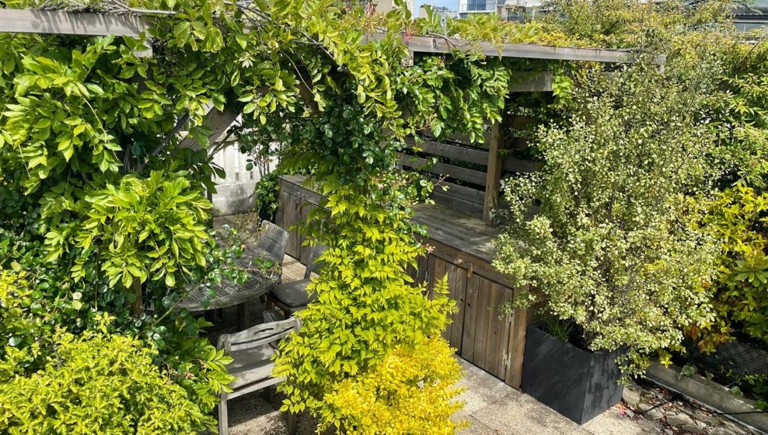 Paysagiste Paris | Paysagiste Paris 8 - Paysagiste Paris 16 - Paysagiste Paris 7