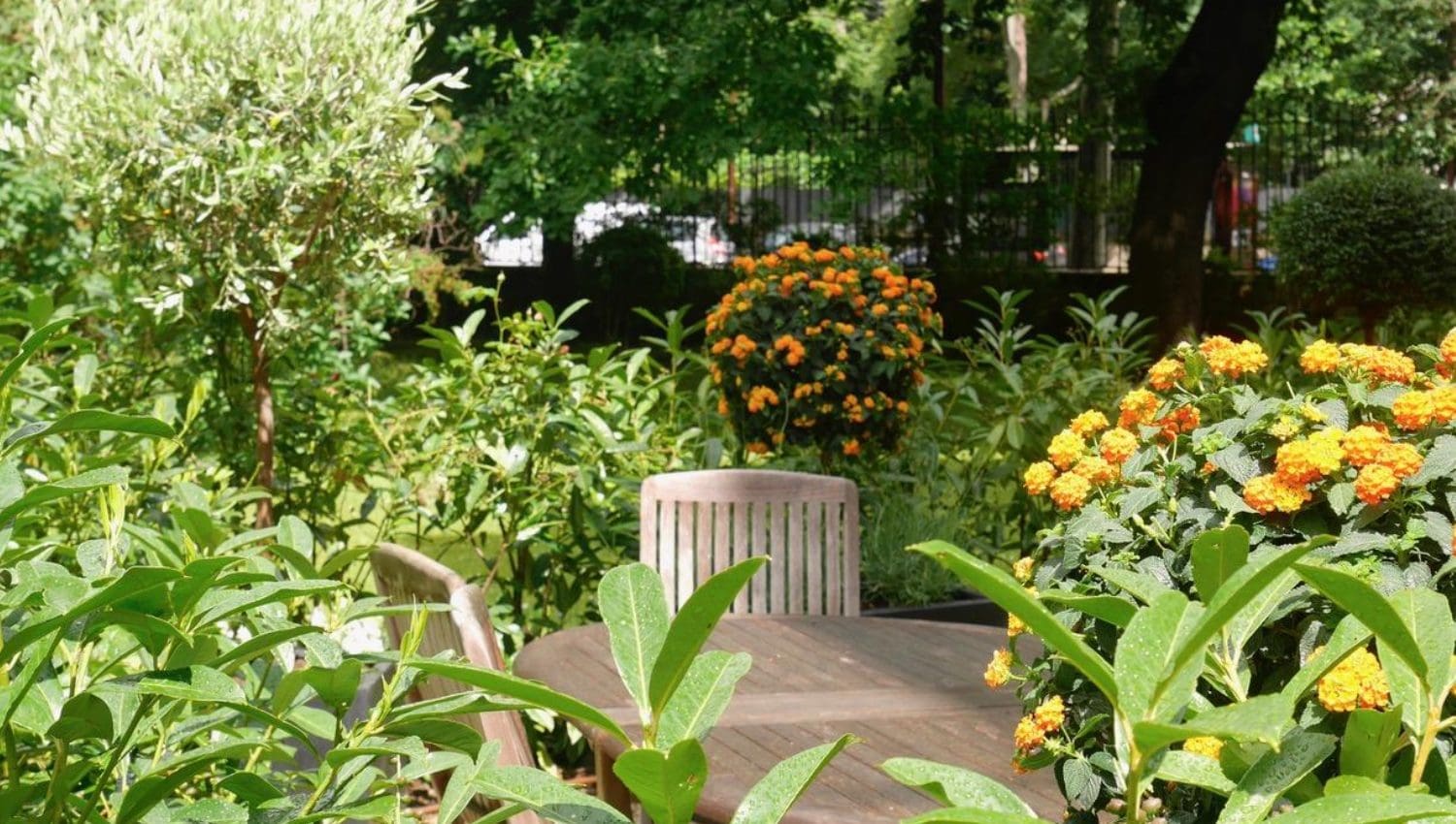 Paysagiste Paris | Paysagiste Paris 8 - Paysagiste Paris 16 - Paysagiste Paris 7