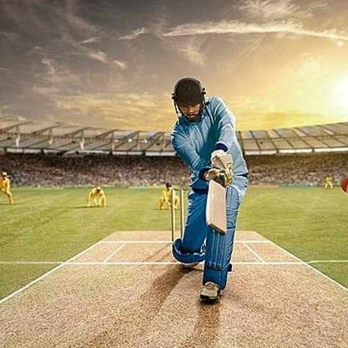 Cricket ID Features
