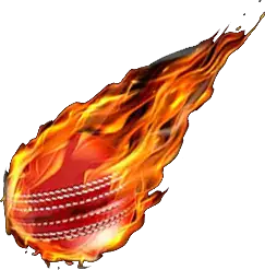 Cricket Float 1