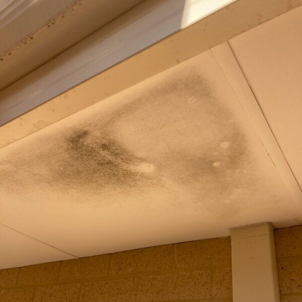 Gutter and Eave showing water damage due to lack of gutter cleaning