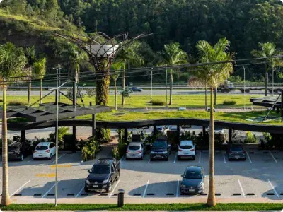 elevated-view-road-with-trees-growing-forest 1-4