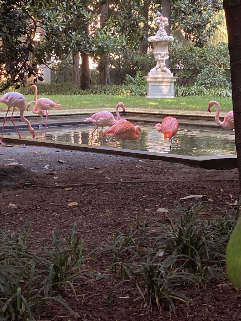 Flamencos en Milán