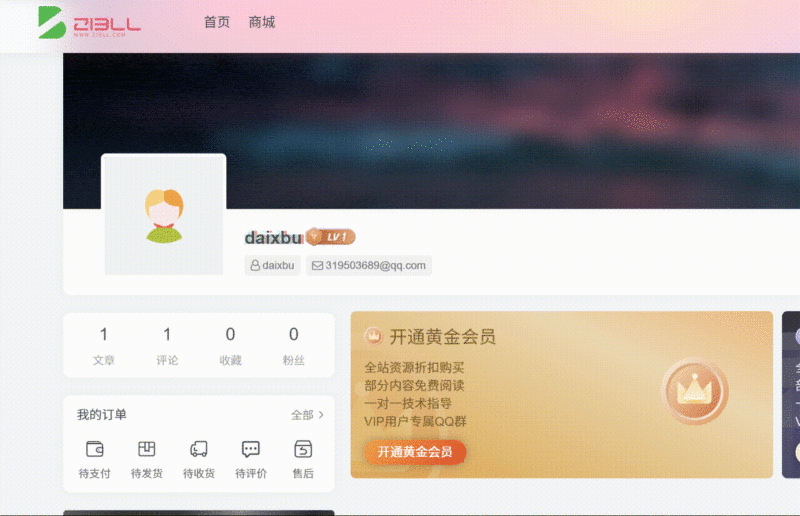 子比主题 – 昵称抖音风格字体美化代码-阿呆日记