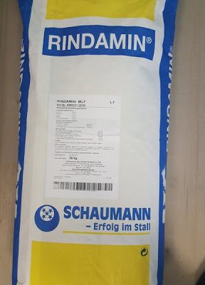 Rindamin MLF