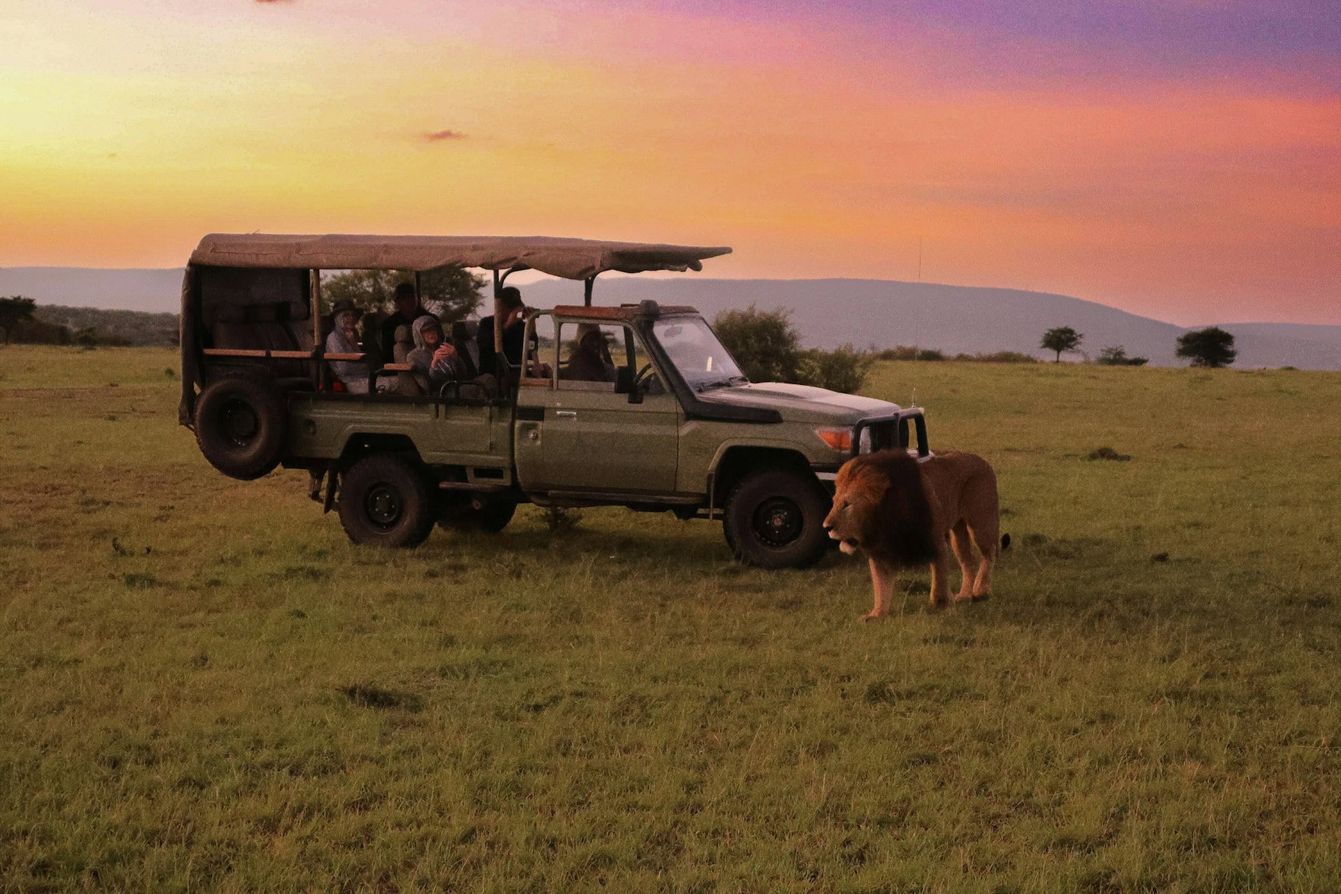 Best safaris in Kenya in 2026 wildlife viewing in Maasai Mara National Reserve