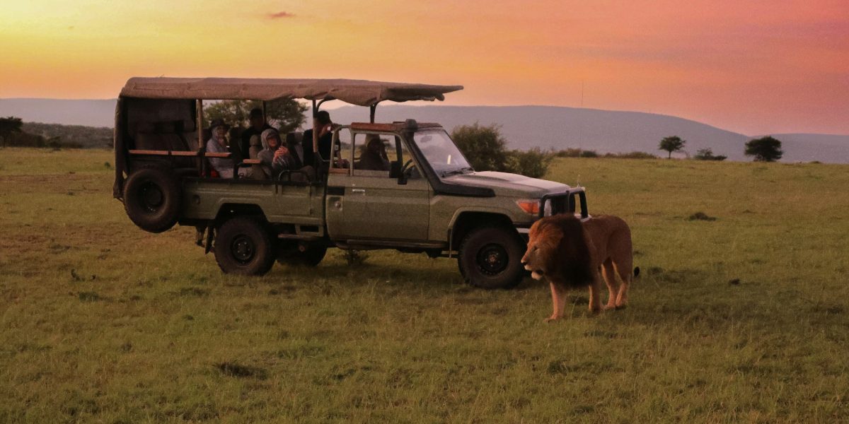Best safaris in Kenya in 2026 wildlife viewing in Maasai Mara National Reserve