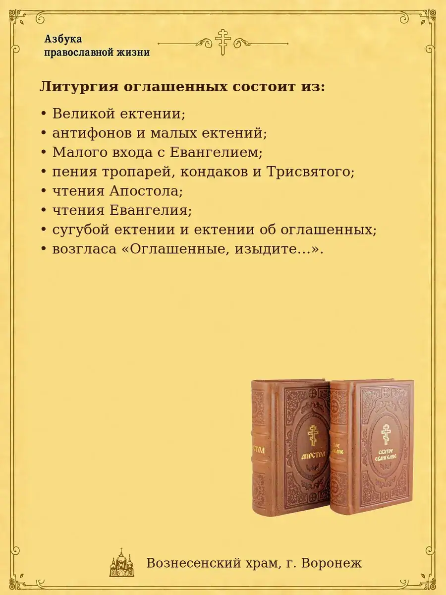 Из чего состоит