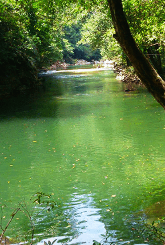Ruta Antioqueña Rio Claro