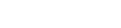 Visa Secure