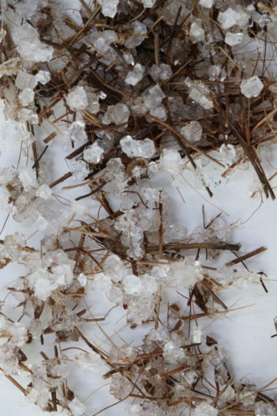 FIBRE PALM LAB