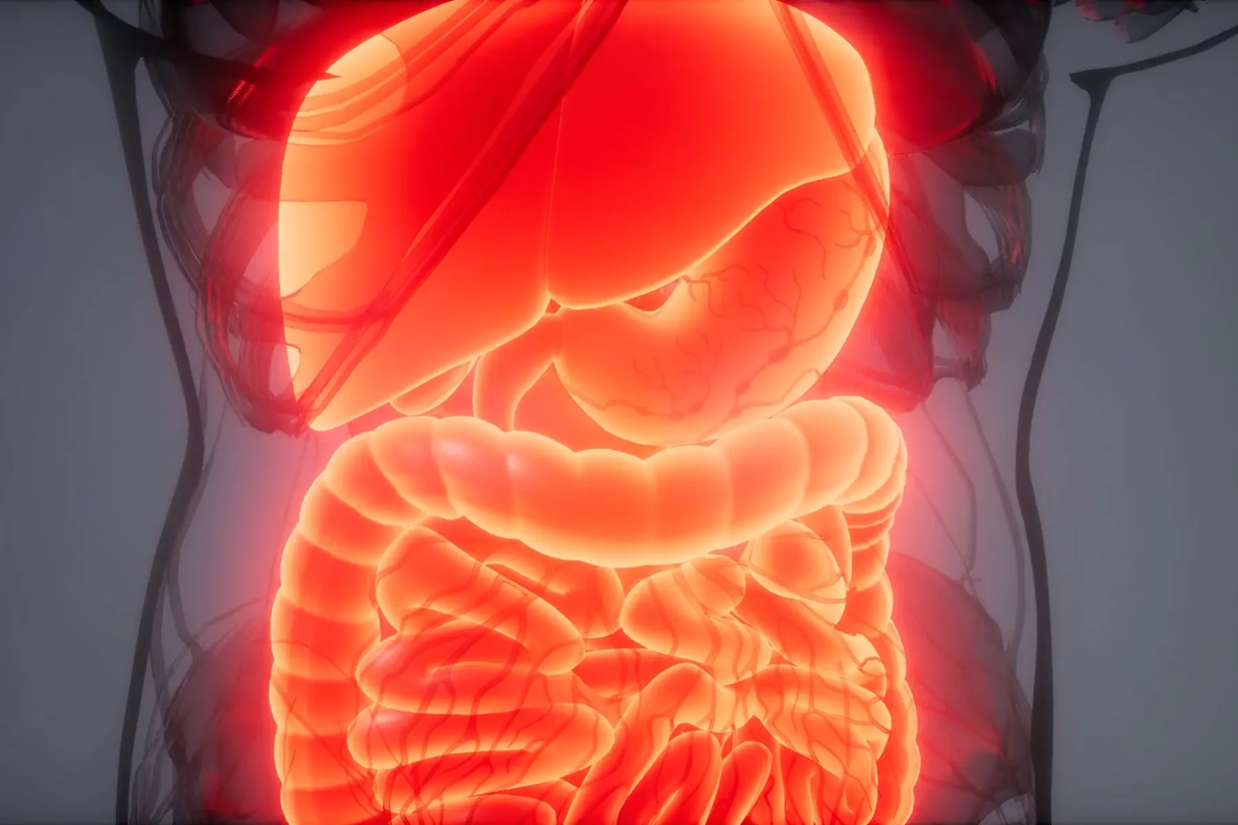 more-than-2-million-in-us-have-inflammatory-bowel-disease.jpg More Than 2 Million in U.S. Have Inflammatory Bowel Disease